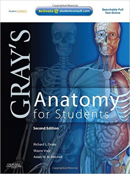 Gray’s Anatomy for Students, 2E